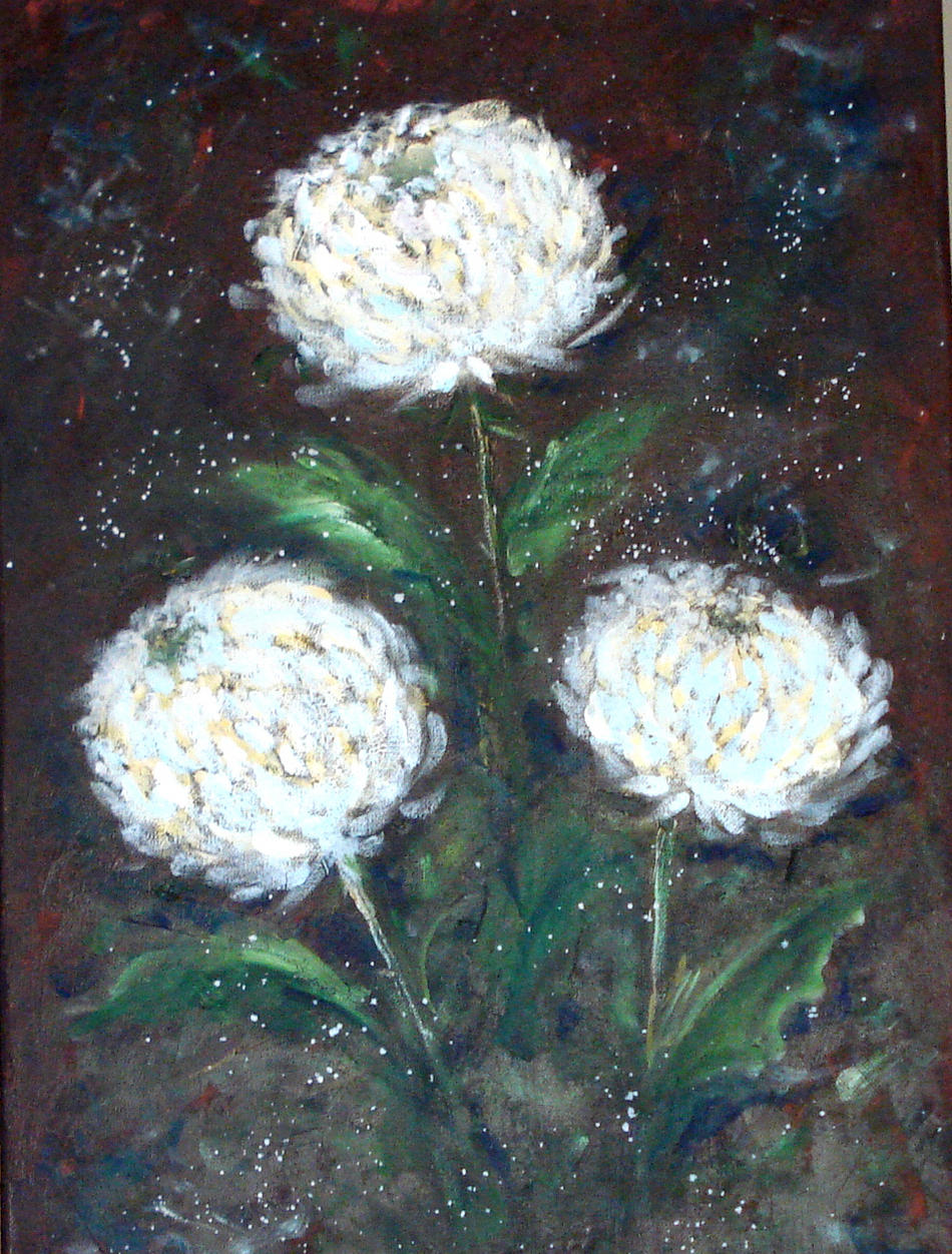 Chrysantheme von Chrysantheme