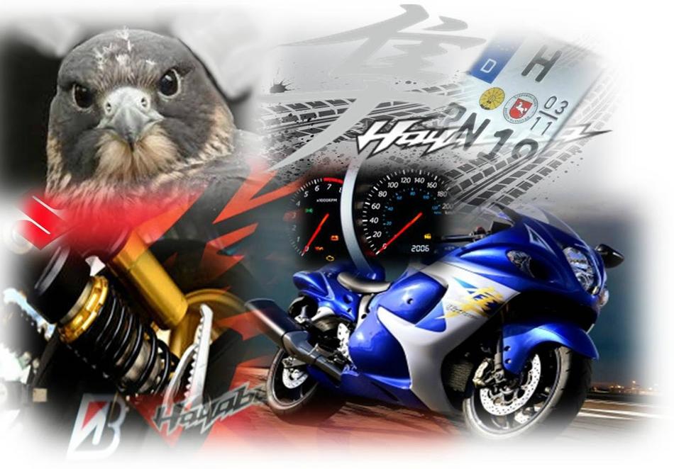 ...mehr als ein Vogel von IF ...mehr als ein Vogel
