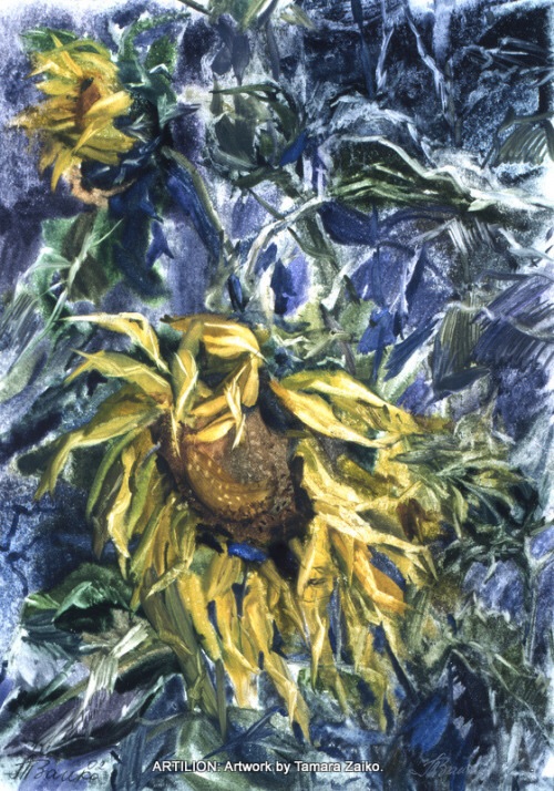 Sonnenblüme in Dämmerung von Tamara Zaiko Sonnenblüme in Dämmerung