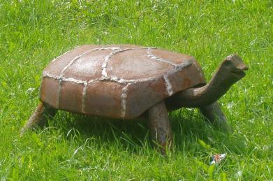 Schildkröte von Ziron-art Schildkröte