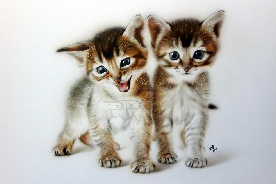 Miezekatzen von PIPI Miezekatzen