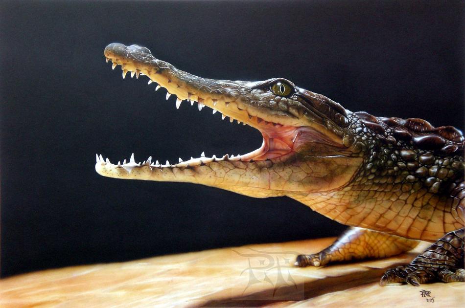 Krokodil von PIPI Krokodil