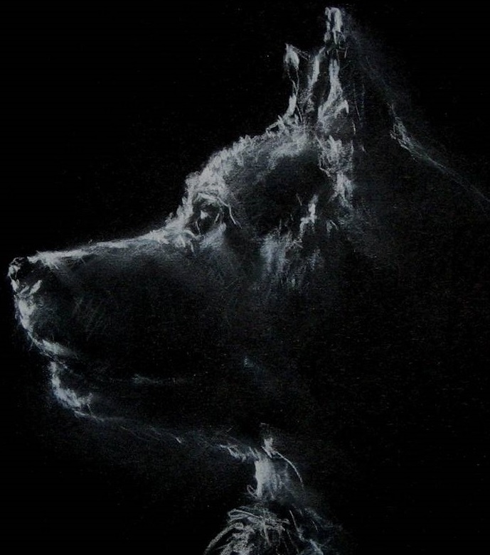 Shadow von Wolf Werner Shadow