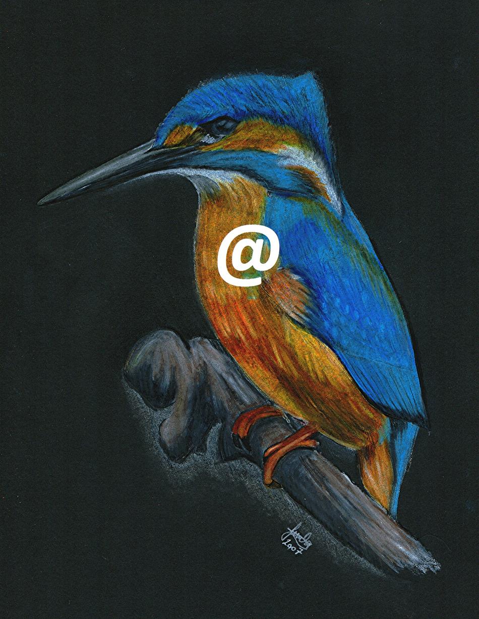 EISVOGEL von zeichenkoenig EISVOGEL
