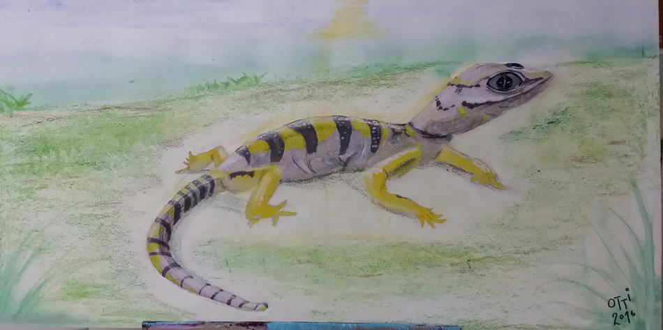Salamander von OTTI Salamander