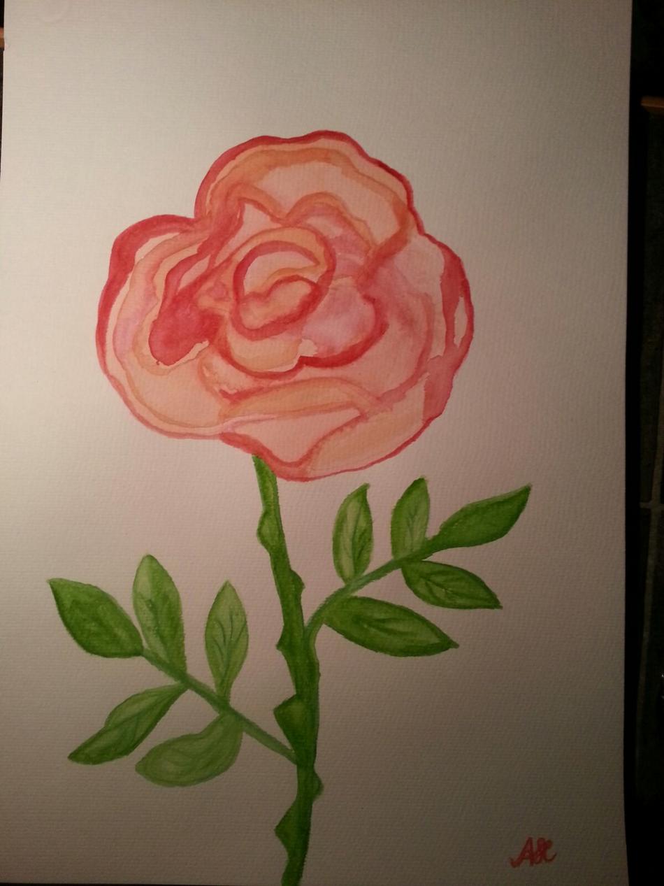 Rose von Angie Rose