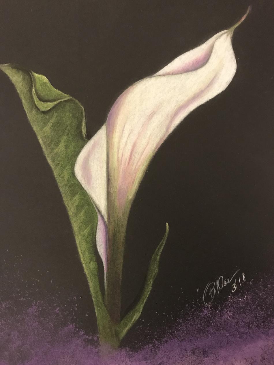 Calla von Calla