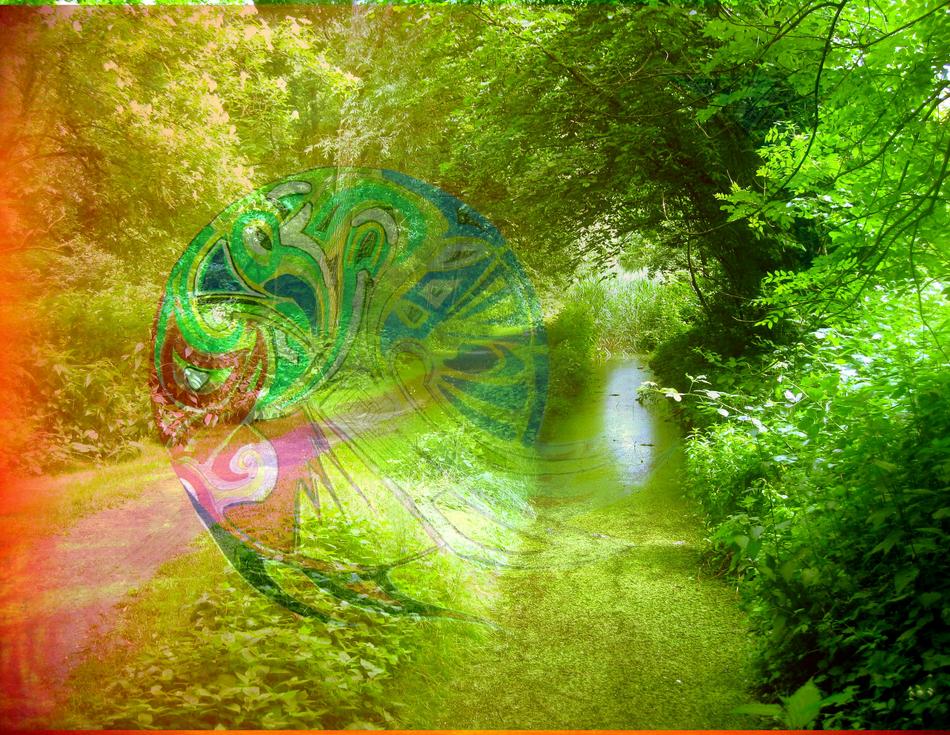 Waldweg.jpg von martin Waldweg.jpg