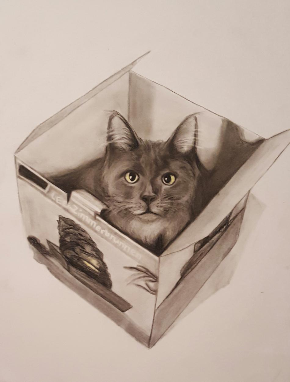 Auftragsbild von Auftragsbild