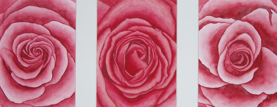 Rosen 2 von Rosen 2