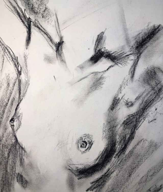 Body Studies I von Lilly Pelz Body Studies I
