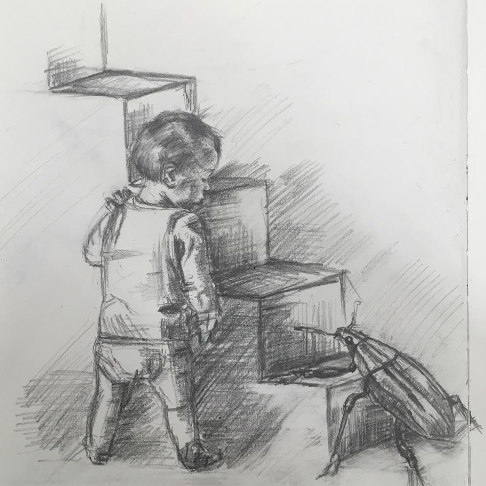 the boy who was greeted by a beetle von Lilly Pelz the boy who was greeted by a beetle