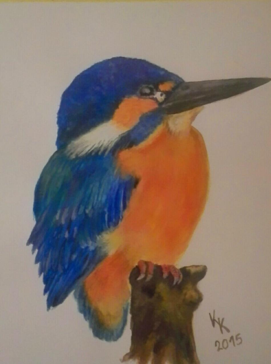 Eisvogel von di Carlos Eisvogel