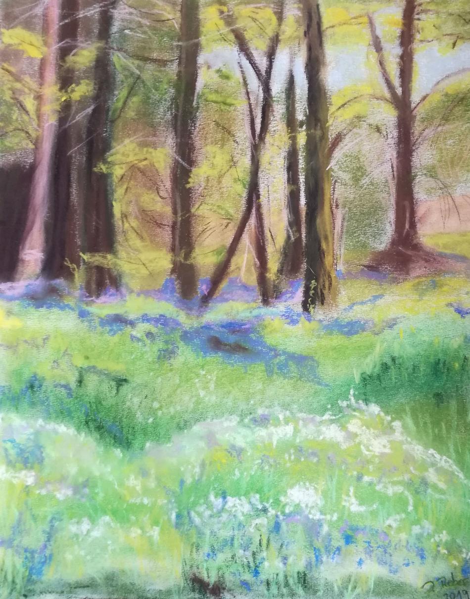 Frühlingswald von Frühlingswald