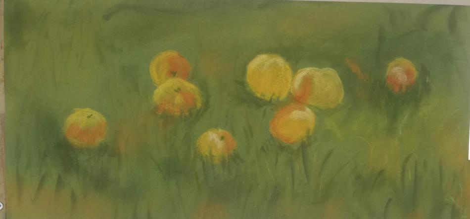 Äpfel in der Wiese von Äpfel in der Wiese