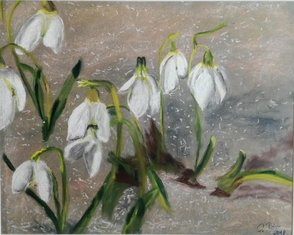 Frühlingserwachen von Frühlingserwachen
