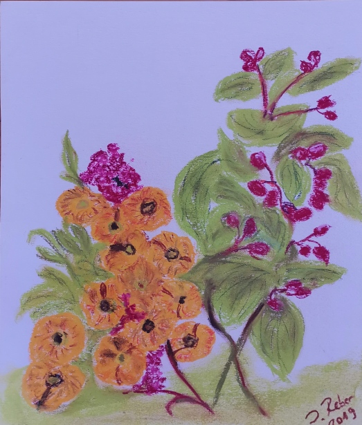 Sommerblumen von Sommerblumen