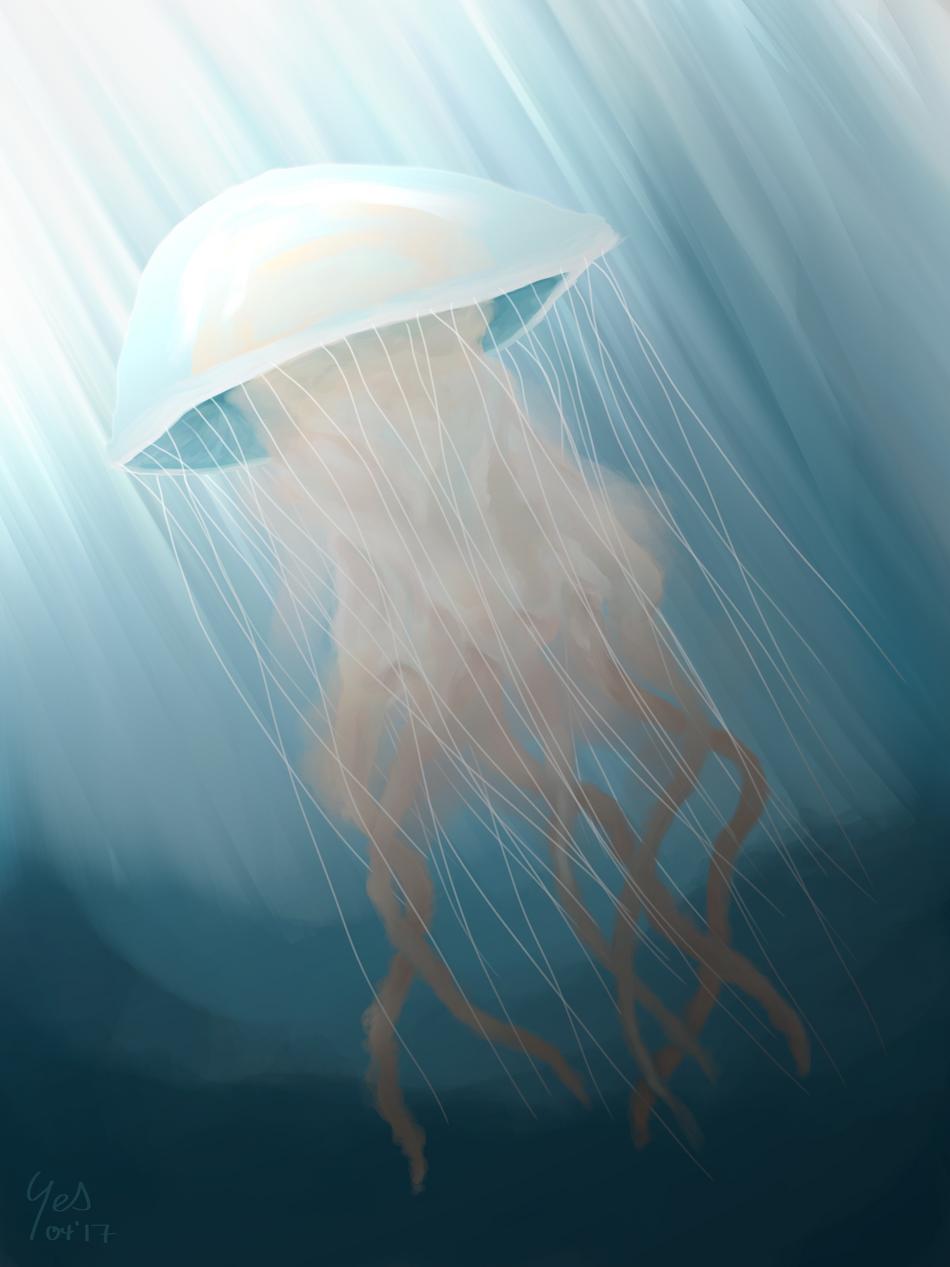Jellyfish von yes Jellyfish