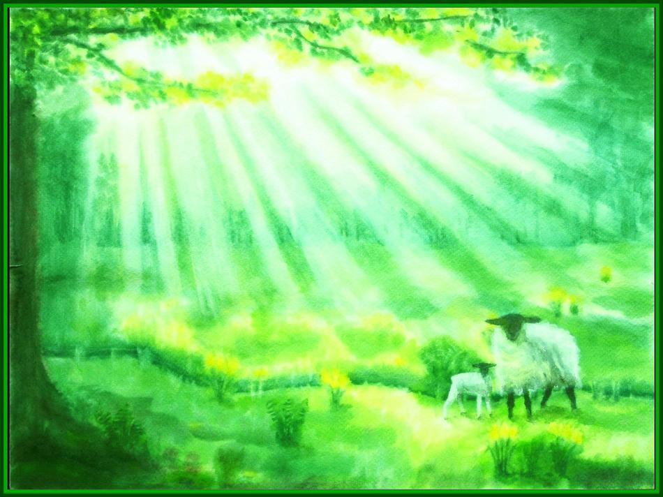 Schafe unter Sonnenstrahlen von Schafe unter Sonnenstrahlen