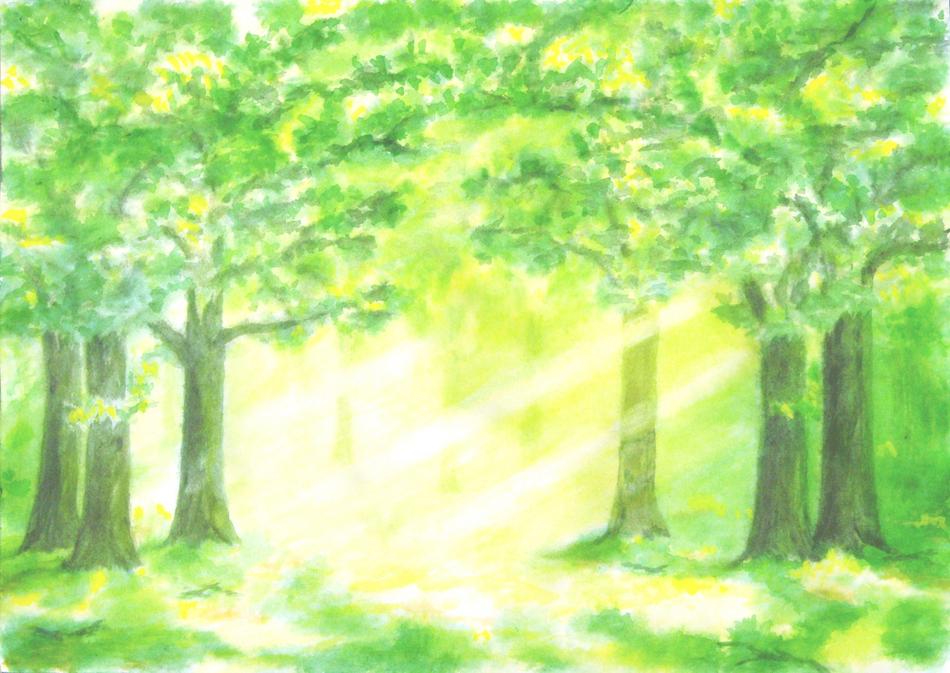 Waldlichtung von Waldlichtung