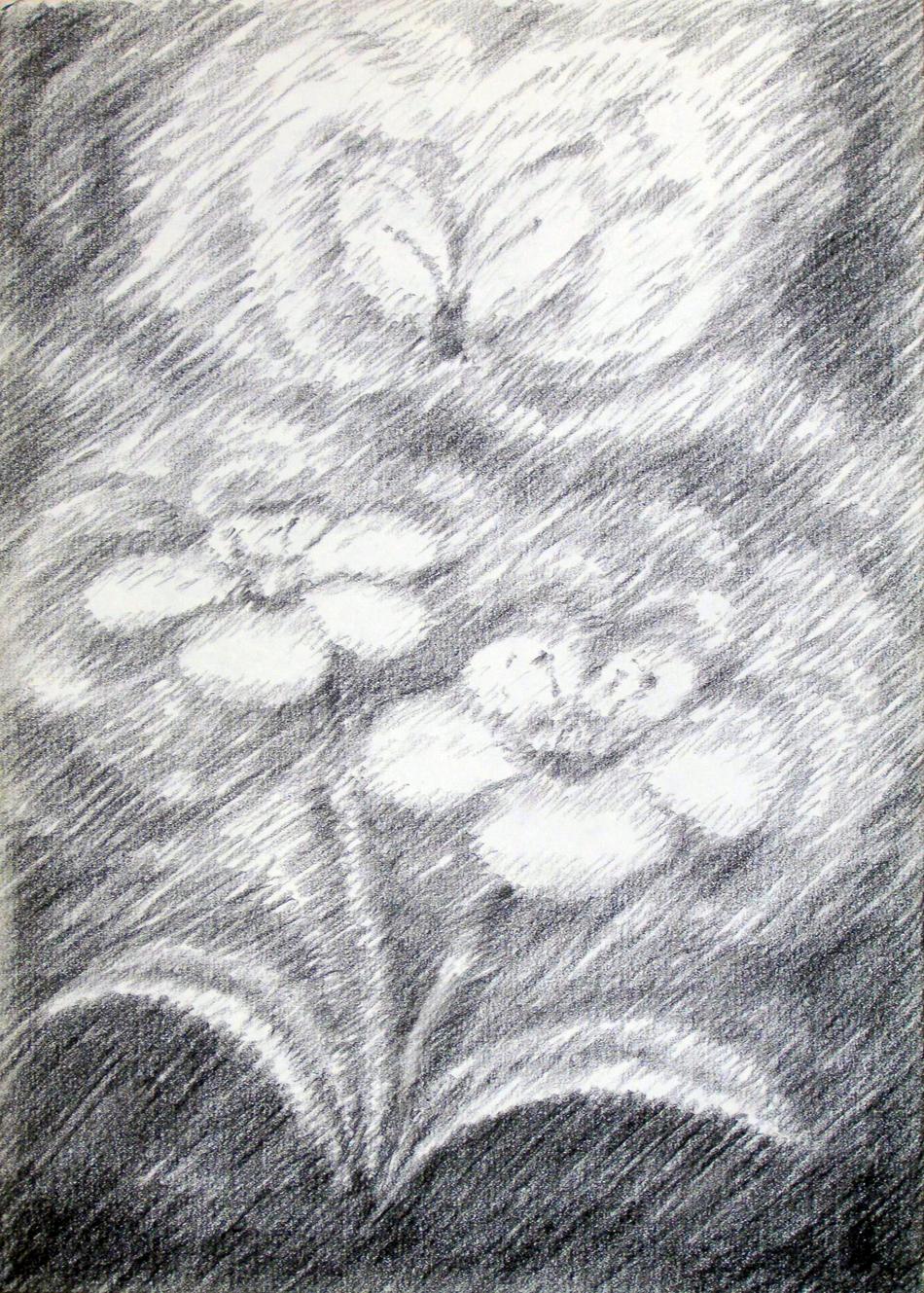 Blüte und Schmetterling von Blüte und Schmetterling