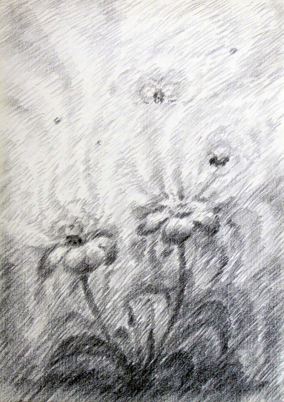 Blüten und Bienen von Blüten und Bienen