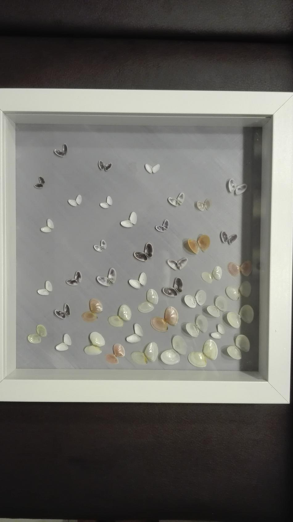 Schmetterlinge von Ana Schmetterlinge