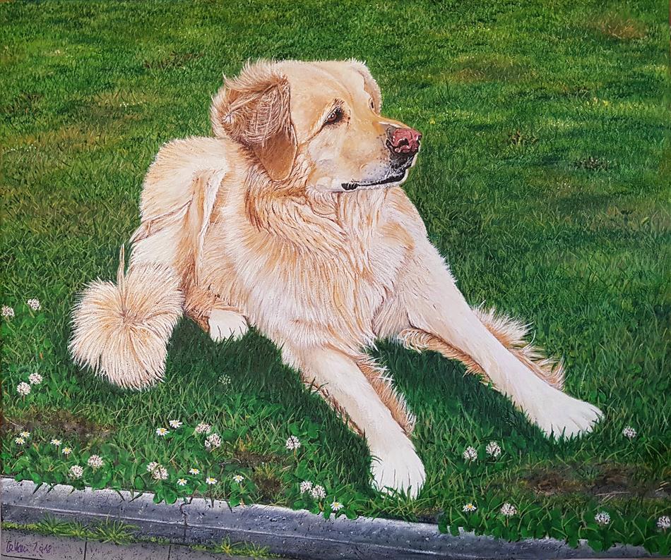 Unser Hund von Kai-Uwe Lettau Unser Hund