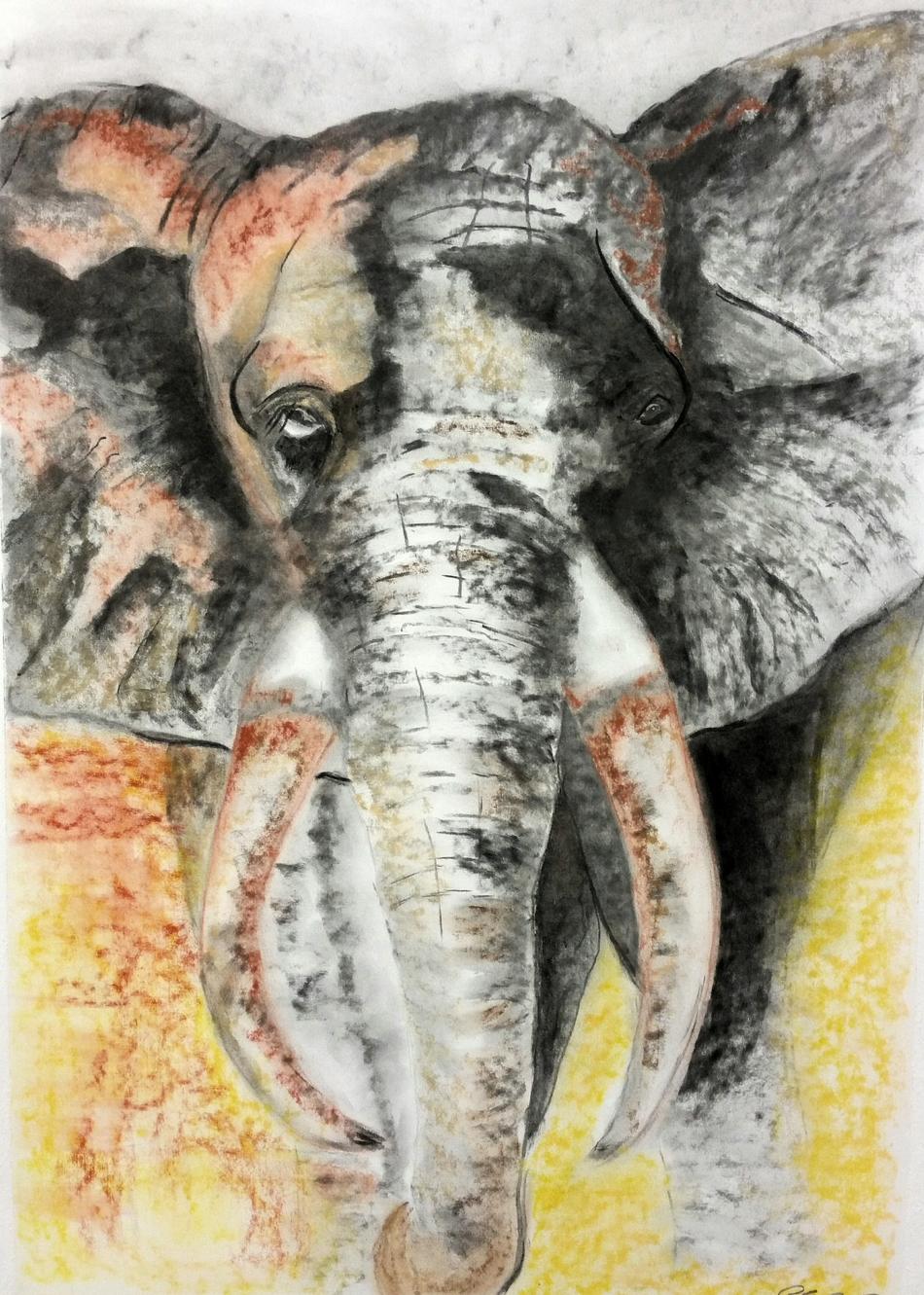 Elefant von SGlobisch Elefant