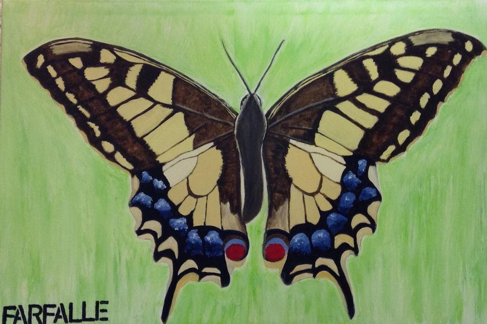 Schmetterling von amira Schmetterling