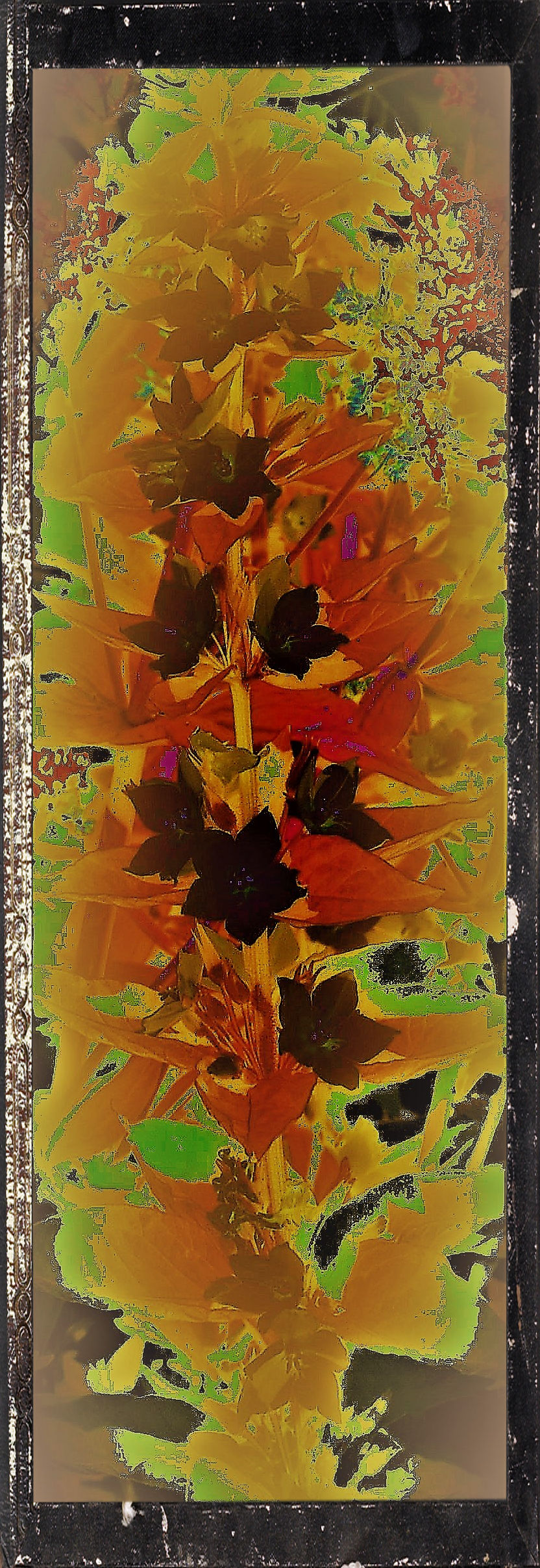 Fleurs d`ete von Frank Zinnemann Fleurs d`ete