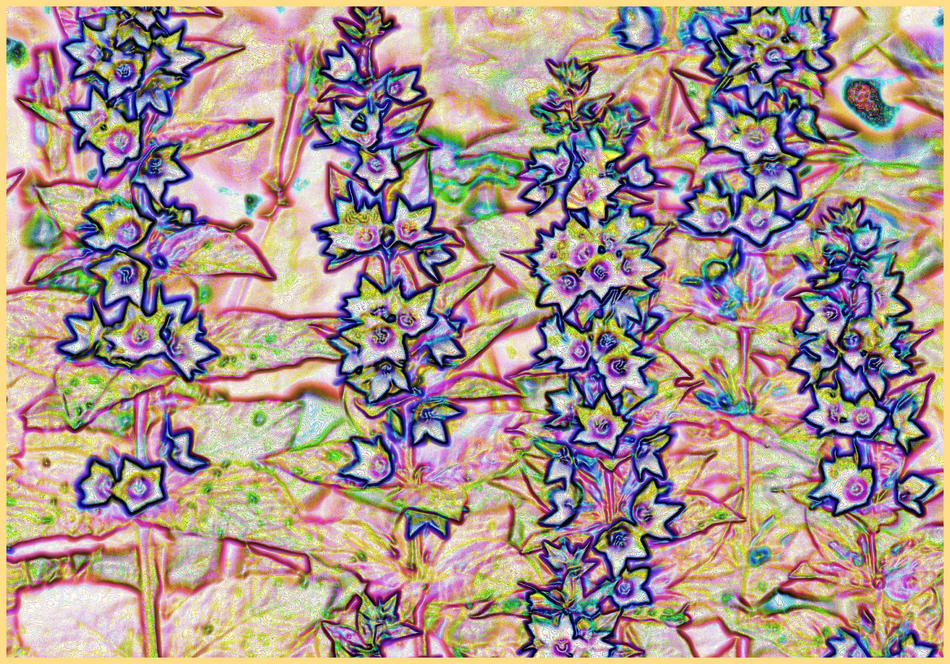 fleurs de cire bleu von Frank Zinnemann fleurs de cire bleu