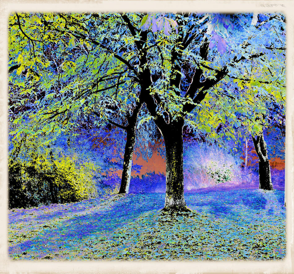 Autumn von Frank Zinnemann Autumn
