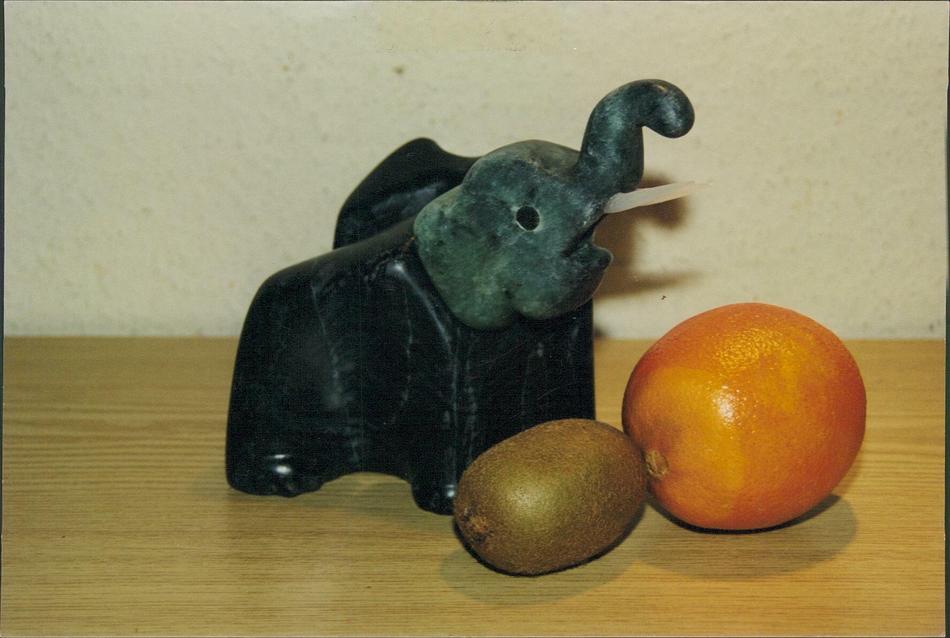 elephant von elephant