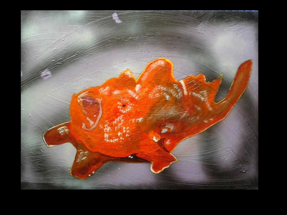 Riesen Anglerfisch von Riesen Anglerfisch