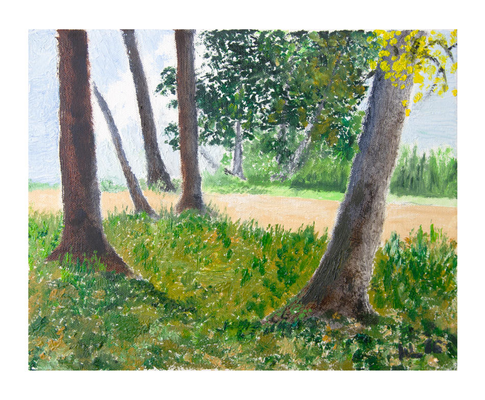 Am Rand des Parks von Am Rand des Parks