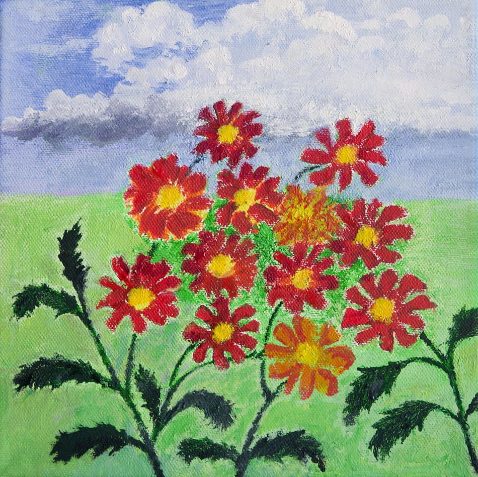 Sommerblumen von Sommerblumen