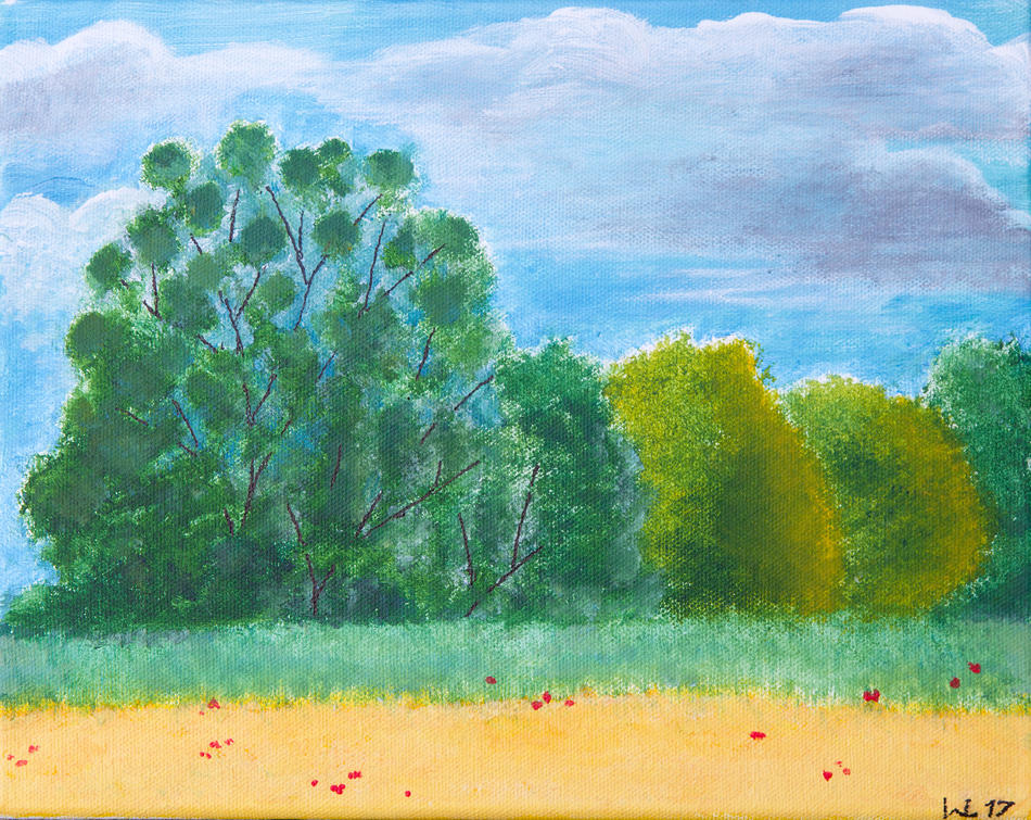 Im Feld von Im Feld