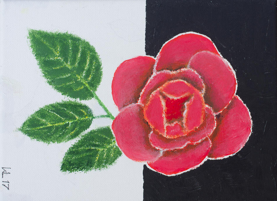 Rose von Rose