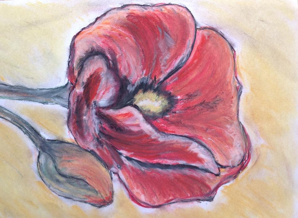 Riesenmohnblüte von Riesenmohnblüte