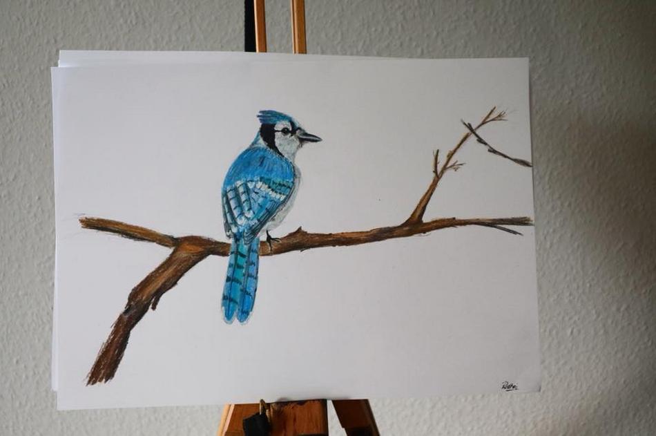 BlueJay von BlueJay