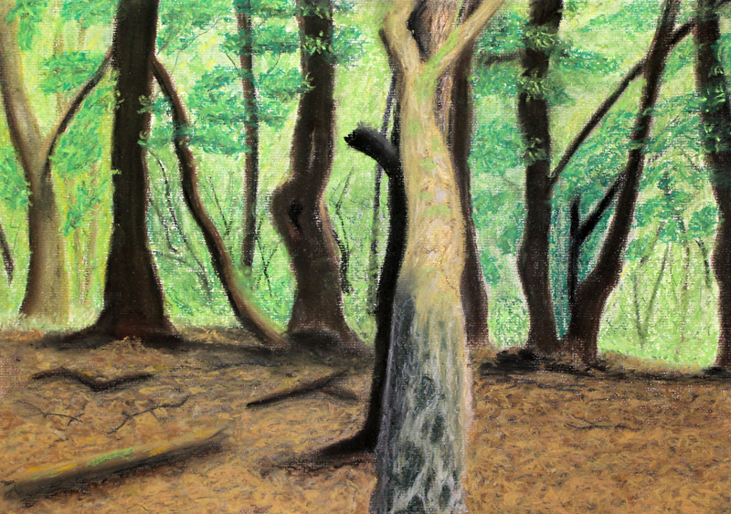 Im Wald von Gwydyon-Art Im Wald