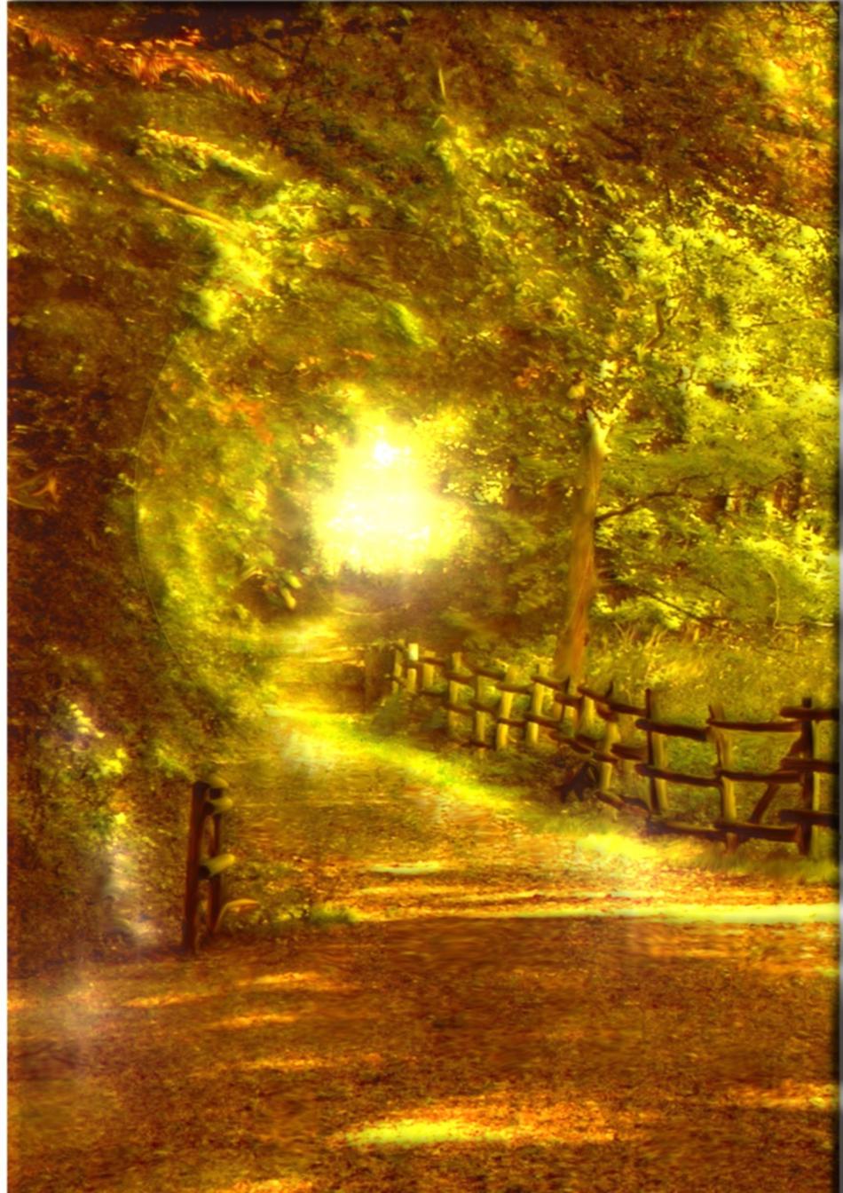 Waldweg von Gordon Waldweg