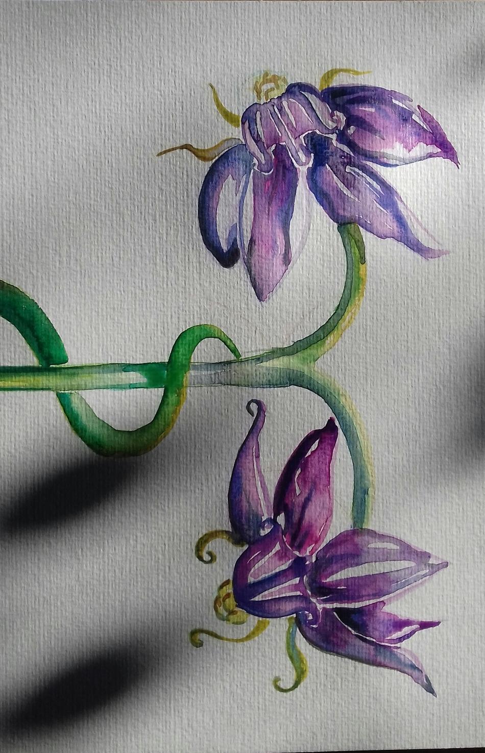 Blumen Werk zum Frühling von Mea Meike Dörschuck Blumen Werk zum Frühling