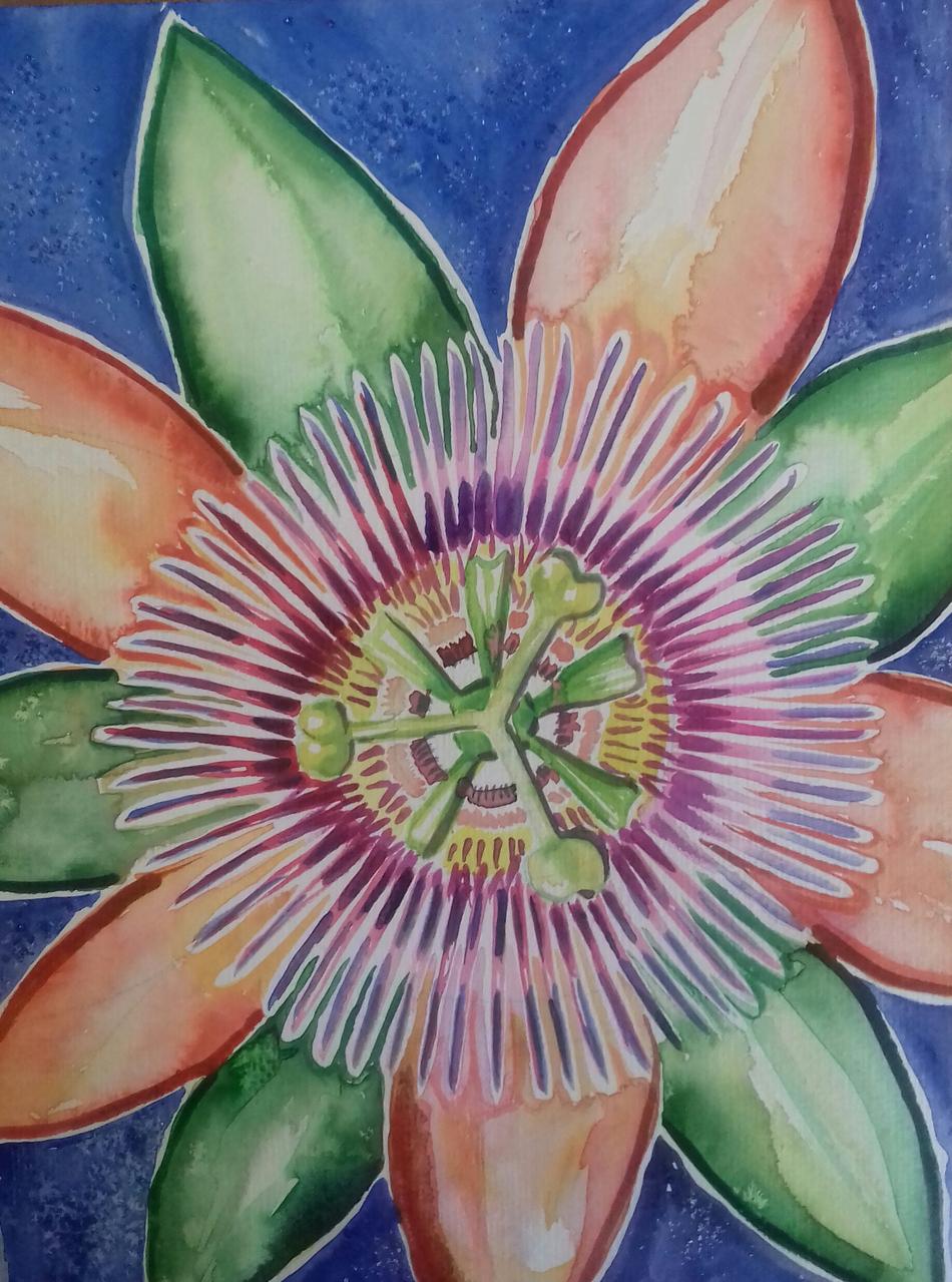 Meine Passion Passionsblume von Mea Meike Dörschuck Meine Passion Passionsblume