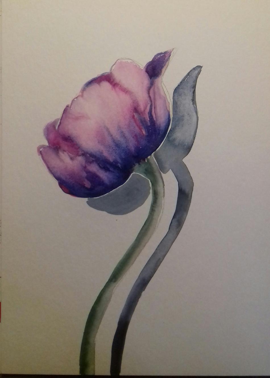 Tulpe von Mea Meike Dörschuck Tulpe