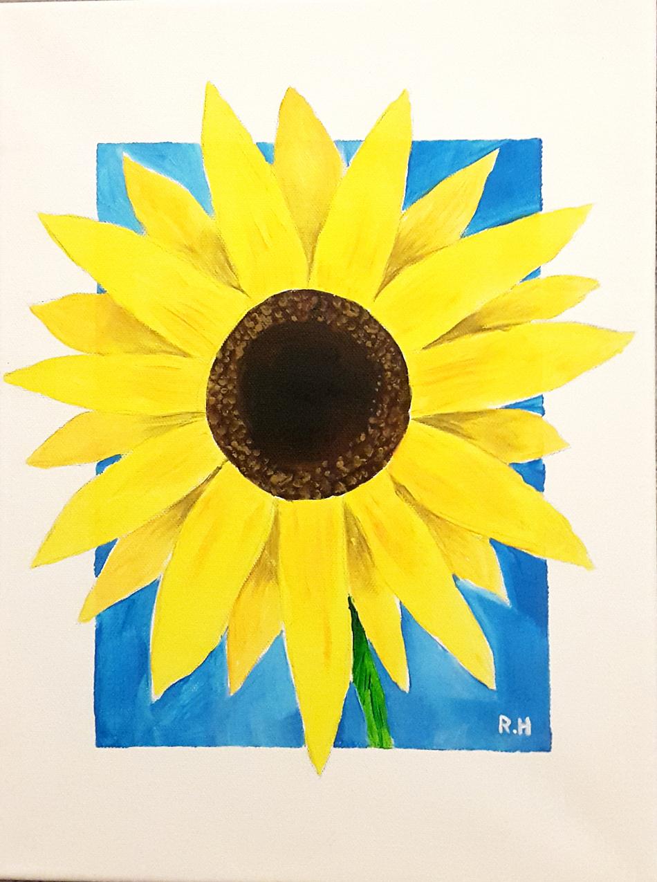 Sonnenblume von Sonnenblume