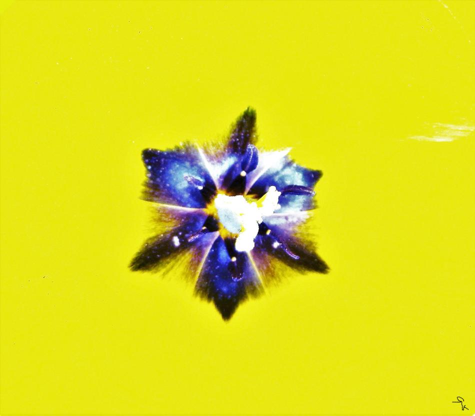 STAR T1 von SK STAR T1