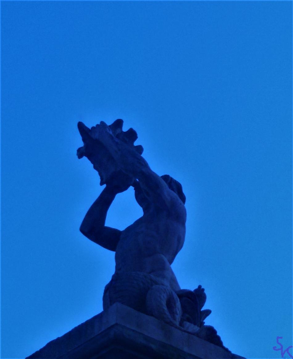 Horn On Shell von SK Horn On Shell