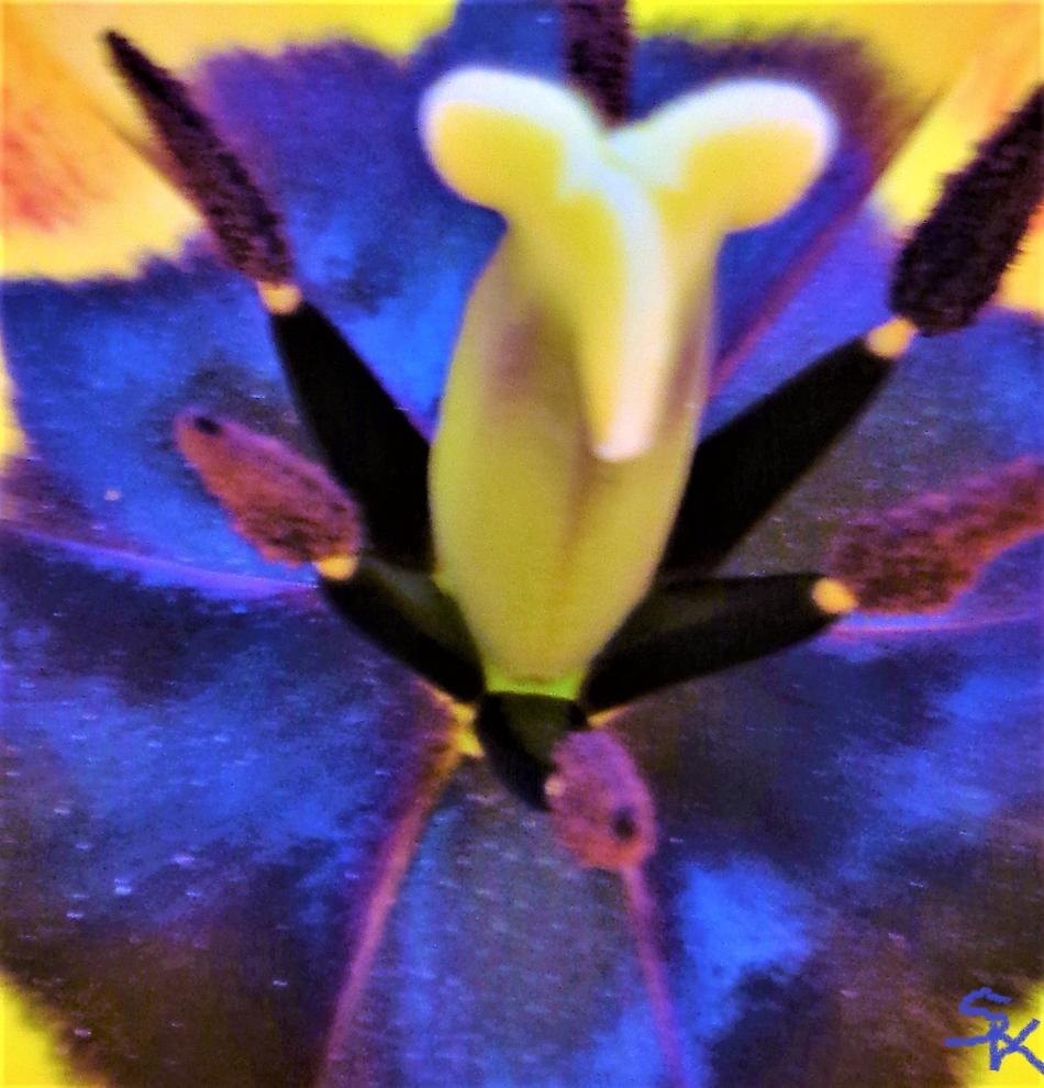 Kunstwerk Dock von SK